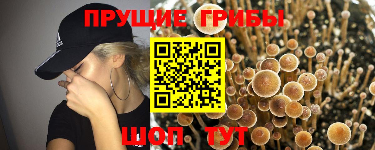 Галлюциногенные грибы MAGIC MUSHROOMS Балашиха